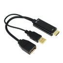 Oem Hdmi To Displayport Adapter