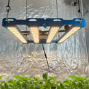 Kingbrite P55 240W Bar Grow Light With Uv+Ir Samsung Lm281B