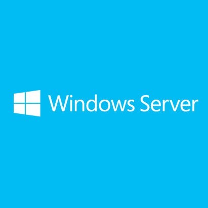Windows Svr Std 2019 English 1pk Dsp Oei 2cr Nomedia/nokey (apos) Addlic