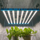 Kingbrite X55 650W Bar Grow Light With Uv+Ir Samsung Lm281B