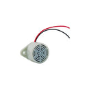 Pinnsec 12V Buzzer With Leads