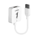 Lindy Hdmi 1.4 To Displayport 1.1 Converter